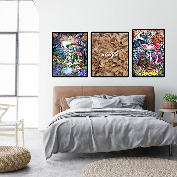 ATA | Mushroom Worlds